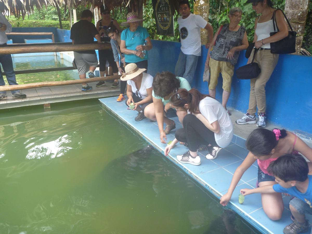 Hospedaje Las Amazonas Ικίτος Εξωτερικό φωτογραφία